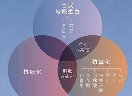 抗糖化和抗氧化的区别有哪些 抗糖化 抗氧化 抗皱护肤 第6张 抗糖化和抗氧化的区别有哪些 抗糖化 抗氧化 抗皱护肤 第6张