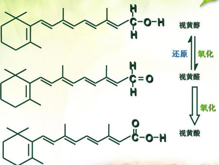 胜肽和视黄醇哪个效果好，两者效果对比  胜肽 视黄醇 抗皱护肤 第3张