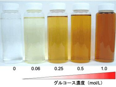抗糖化是抗什么，怎么抗糖化，抗糖化成分有哪些  抗糖化 抗皱护肤 第3张