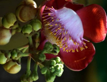 祛皱紧致的面膜管用吗  祛皱 面膜 抗皱护肤 第4张