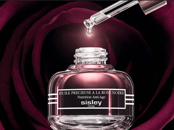 什么精油去皱纹效果好，五款精油推荐  精油 皱纹 效果 抗皱护肤 第3张