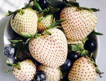 皮肤暗黄吃什么水果，水果美白之道解析  皮肤暗黄 水果 美白祛黄 第4张