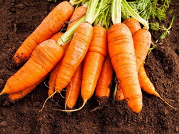 嘴巴周围皮肤发黄怎么回事  嘴巴 发黄 美白祛黄 第4张