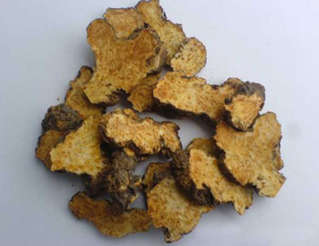 中药美白去黄的药方，四种传统去黄药方推荐