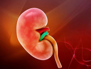 三十多岁皮肤越来越黄怎么办，五种方法推荐  三十多岁 黄 美白祛黄 第4张