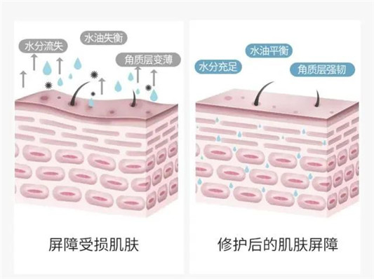 国货平价水乳，颐莲名气比大牌还高  国货 水乳 平价 第8张