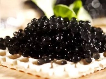 鱼子酱眼霜怎么样、好用产品推荐