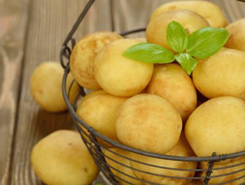 自制土豆做眼膜效果好吗，可以天天用吗  眼膜 土豆 效果 美白祛黄 第2张