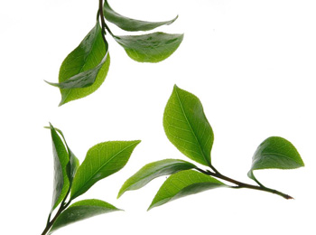 怎么快速的去掉黑眼圈，教你5种方法  黑眼圈 美白祛黄 第3张