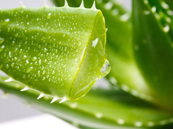 男士祛痘的简单方法大全，推荐5个祛痘小妙招  祛痘 妙招 男士 美白祛黄 第2张