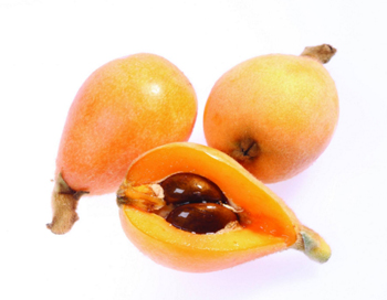 青春痘快速消除老方法，四个偏方治疗青春痘  青春痘 快速 美白祛黄 第5张