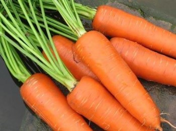 吃什么东西可以排毒祛痘，六种食物吃出好肌肤  祛痘 东西 美白祛黄 第4张