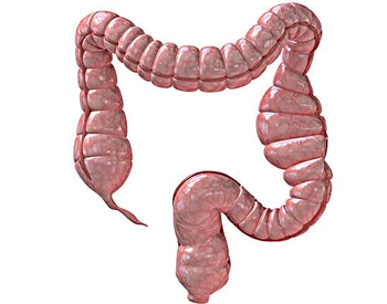 便秘会长痘痘吗，解决身体问题好治痘  便秘 痘痘 美白祛黄 第4张