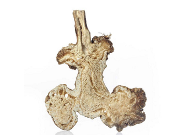 白术泡白醋可以祛痘吗  祛痘 白术 白醋 美白祛黄 第3张