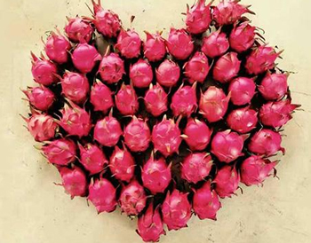 长痘痘能吃火龙果吗，看如何吃出无痘肌  火龙果 痘痘 美白祛黄 第4张