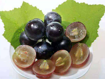 葡萄籽可以祛痘吗，细说葡萄籽祛痘的那些作用  祛痘 葡萄 美白祛黄 第2张