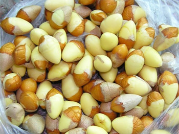 白果治痤疮效果怎么样真的那么神奇吗  白果 痤疮 效果 美白祛黄 第2张