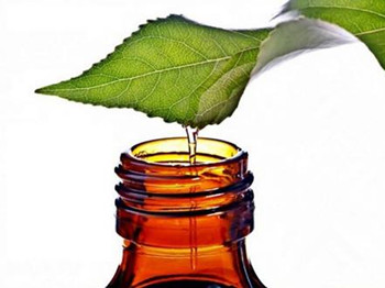 茶树油祛痘有效吗效果如何怎么使用  祛痘 美白祛黄 第2张