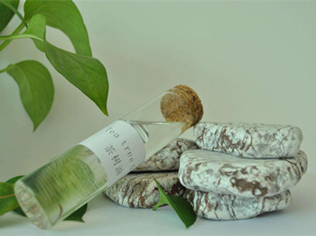 茶树油祛痘有效吗效果如何怎么使用  祛痘 美白祛黄 第3张