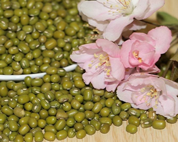 自制祛痘面膜一周见效，四种自制祛痘面膜推荐  祛痘 面膜 美白祛黄 第2张