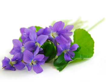 自制祛痘面膜一周见效，四种自制祛痘面膜推荐  祛痘 面膜 美白祛黄 第4张