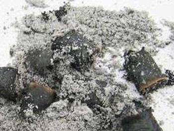 艾草灰怎么祛痘，推荐两种方法