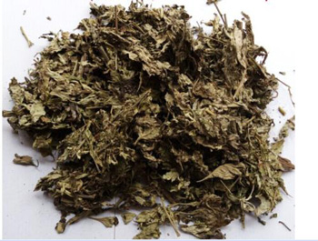 艾草灰怎么祛痘，推荐两种方法  艾草灰 祛痘 美白祛黄 第3张