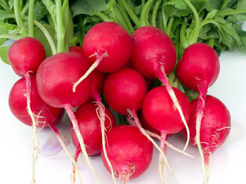 脸上突然长了很多红痘痘怎么快速消除  痘痘 美白祛黄 第3张