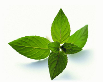 封闭性粉刺怎么才能根除，看如何去粉刺不留痕  封闭性粉刺 美白祛黄 第3张