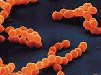 痤疮和毛囊炎的不同分析，区别4点  毛囊炎 痤疮 区别 美白祛黄 第3张