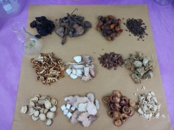 哪些中药磨成粉可以去痘印，中药去痘印的方法  中药 成粉 美白祛黄 第2张