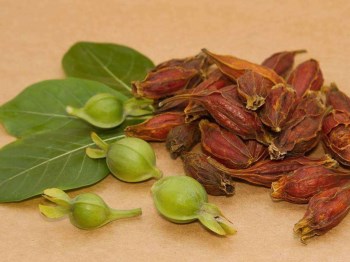 哪些中药磨成粉可以去痘印，中药去痘印的方法  中药 成粉 美白祛黄 第4张