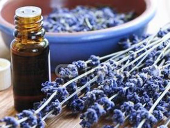 脸上的痘坑可以填平吗，教你3种方法  痘坑 美白祛黄 第4张