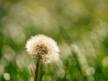 痘坑怎么修复民间土方，推荐5种方法  痘坑 土方 美白祛黄 第3张