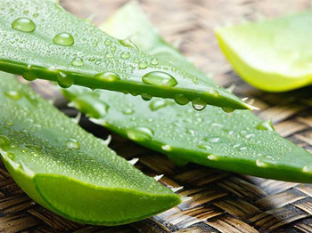 如何去背部痘印,塑造美背 去痘印 美白祛黄 第4张 如何去背部痘印,塑造美背 去痘印 美白祛黄 第4张