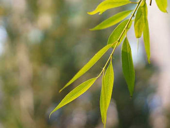 用什么洗脸去痘印，五种方法洗出好肌肤