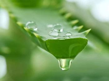 抽烟毛孔会变大吗，3种方法改善毛孔  抽烟 毛孔粗大 美白祛黄 第4张