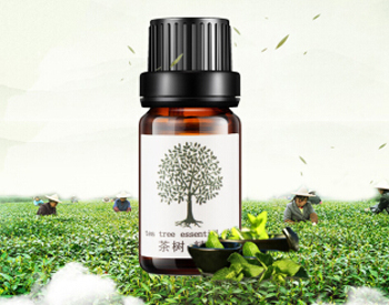 什么精油收缩毛孔的功效最好，五款细致毛孔