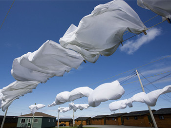 怎样去螨虫收毛孔，不可不看的螨虫危害  收缩毛孔 美白祛黄 第3张