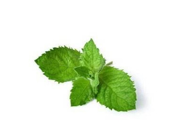 自制面膜收缩毛孔，巧妙方法细致肌肤  收缩毛孔 美白祛黄 第3张