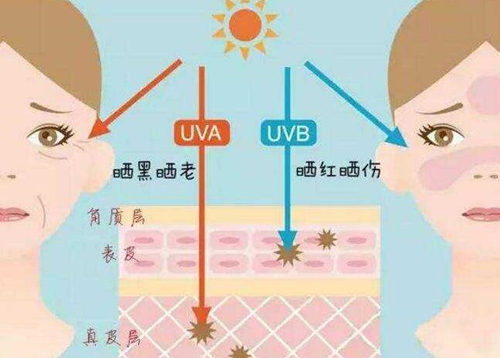 有必要用50倍的防晒吗，一天涂几次  防晒 美白祛黄 第2张