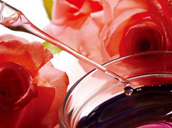 玫瑰精油的使用方法详细教程