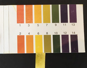 资生堂睡眠面膜怎么样，价格是多少  资生堂 睡眠面膜 美白祛黄 第4张