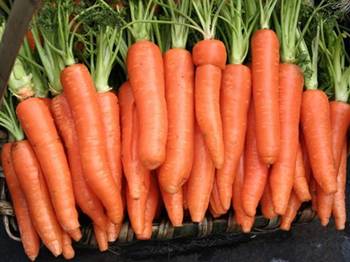 毛囊角化症吃什么蔬菜