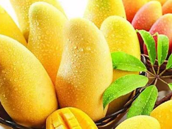 为什么脖子上有鸡皮疙瘩怎么去除 鸡皮疙瘩 美白祛黄 第5张 为什么脖子上有鸡皮疙瘩怎么去除 鸡皮疙瘩 美白祛黄 第5张