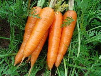 鸡皮肤吃维生素a有用吗  去鸡皮肤 美白祛黄 第3张