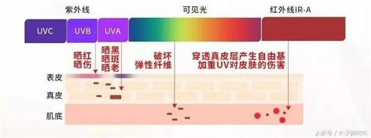 用错防晒会烂脸防晒防的到底是什么超全的防晒知识大扫盲  防晒 第4张