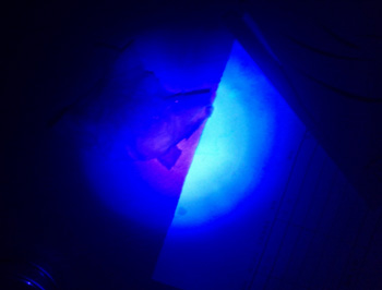 屈臣氏燕窝面膜怎么样，有问题吗  屈臣氏 燕窝 面膜 美白祛黄 第3张