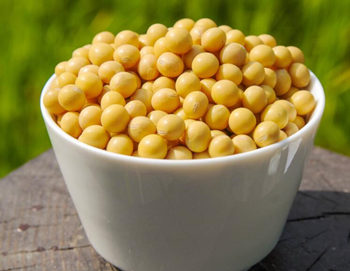 吃黄豆可以抑制黑色素吗，怎么吃管用