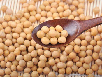 吃黄豆可以抑制黑色素吗，怎么吃管用  黄豆 抑制黑色素 美白祛黄 第2张